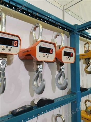 上海20吨电子吊磅生产