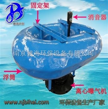 厂 家直销 浮筒潜水离心曝气机 鱼塘曝气器 浮球式曝气机