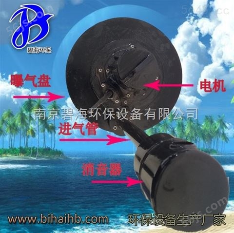 离心式曝气机 自吸式潜水曝气碧海环保