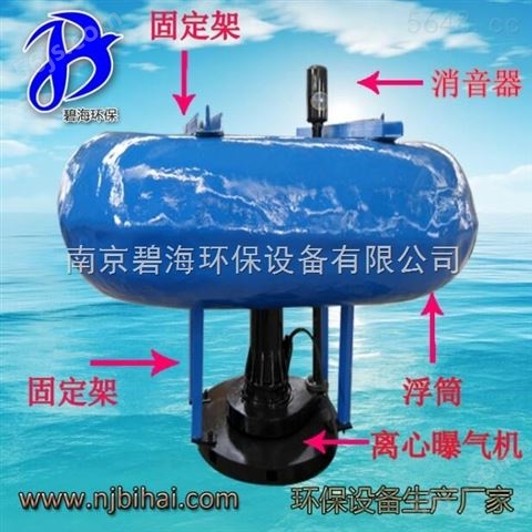 浮筒潜水曝气机 免安装活动型潜浮式曝气设备