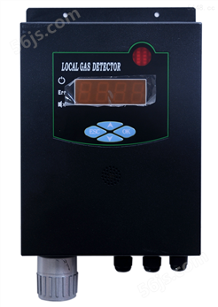 DX300-O2壁挂式氧气检测仪