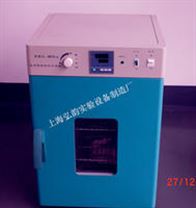 立式電熱鼓風干燥烘箱 DHG系列臺式、立式恒溫鼓風干燥箱